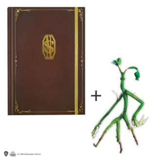 Newt Scamander jegyzetfüzet és könyvjelző - Legendás állatok és megfigyelésük